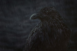 Nevermore