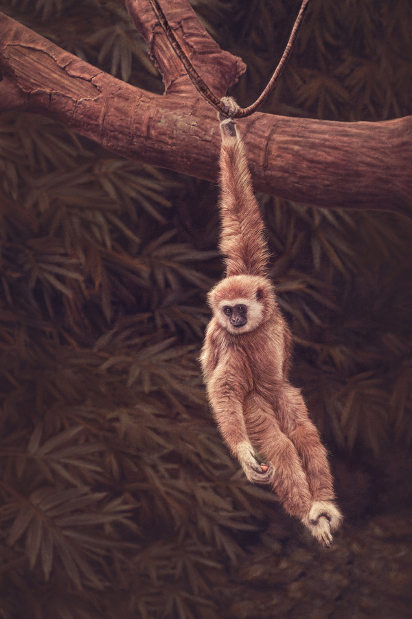 Swinger